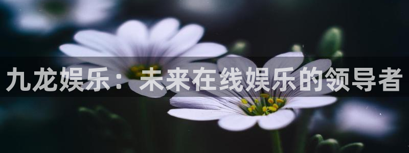 三牛娱乐：九龙娱乐：未来在线娱乐的领导者