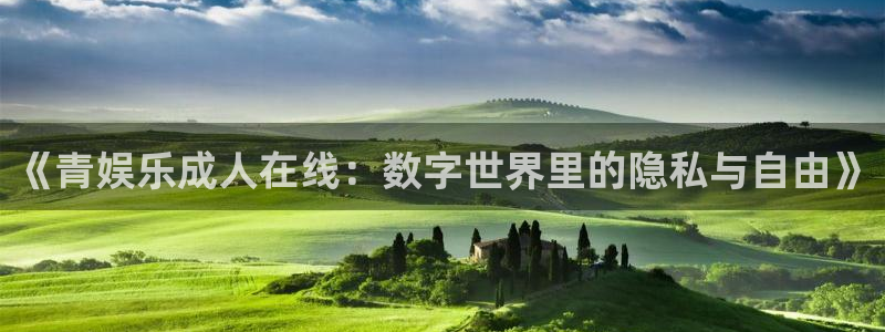 三牛娱乐：《青娱乐成人在线：数字世界里的隐私与自由》