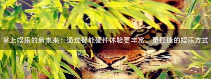 三牛娱乐：掌上娱乐的新未来：通过智能硬件体验更丰富、更便捷的娱乐方式